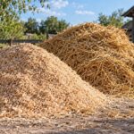 Биотопливо из соломы и опилок: львовские ученые разработали технологию